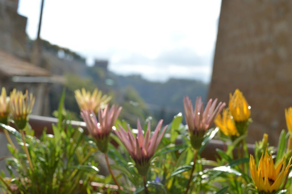 Ferienwohnung Casa Dei Lavatoi Pitigliano Exterior foto